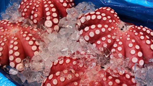 Tako nigiri –  s chobotnicou