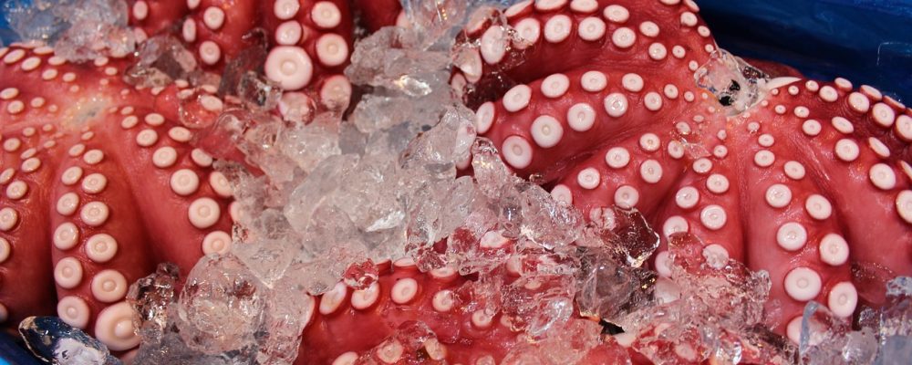 Tako nigiri –  s chobotnicou